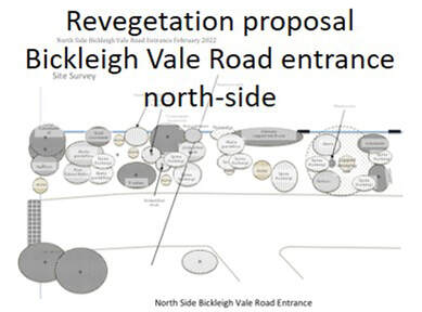 Revegetation proposal Bickleigh Vale Road entrance north-side_20220214Picture