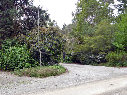 Vantage Pt 8 - Study Area 3 - Bickleigh Vale Rd Driveway Junction north 201910