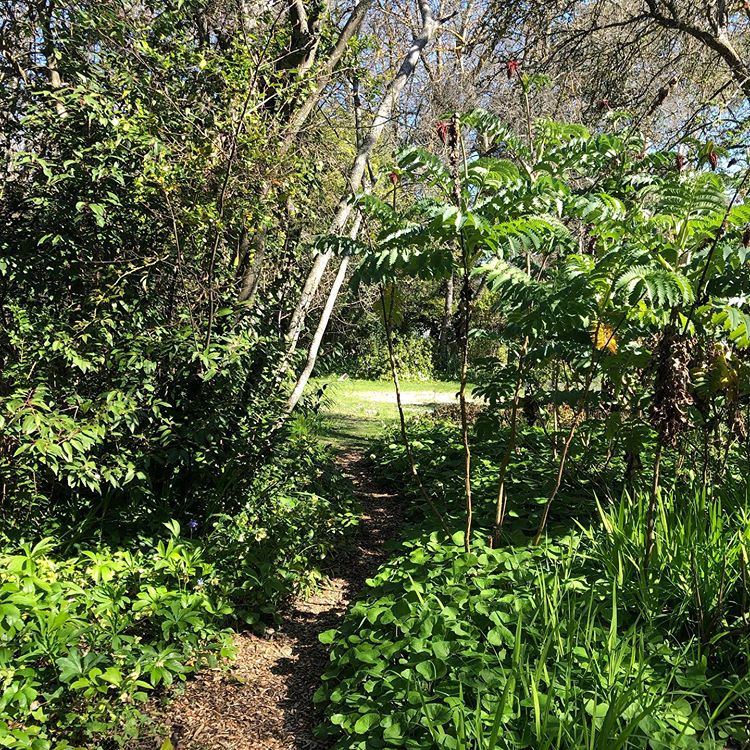 Bickleigh Vale, The Barn garden, 19 September 2019