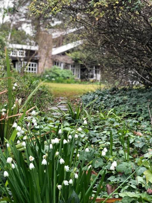 Bickleigh Vale, The Barn, Snowdrops & English Cottages, 27 July 2019